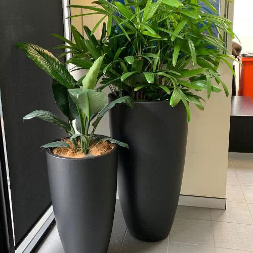 Pots for indoor plants perth