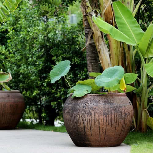 Big Garden Pots Perth Garden Design Ideas