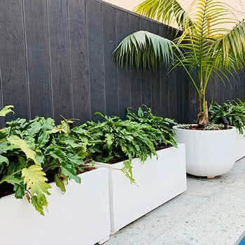 Best D Whole Garden Plant Pots, Modern Garden Pots Melbourne
