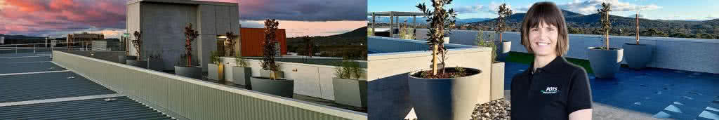 Best Priced Wholesale Garden Plant Pots Online Sydney Perth Melbourne